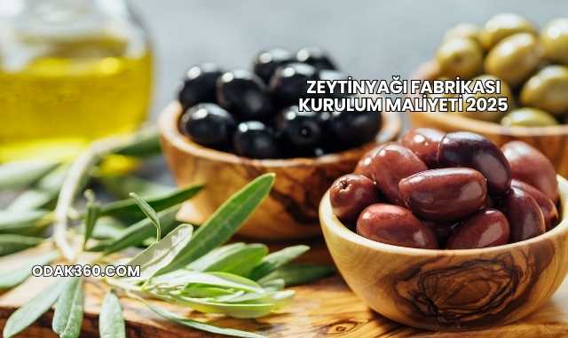 Zeytinyağı Fabrikası Kurulum Maliyeti 2025