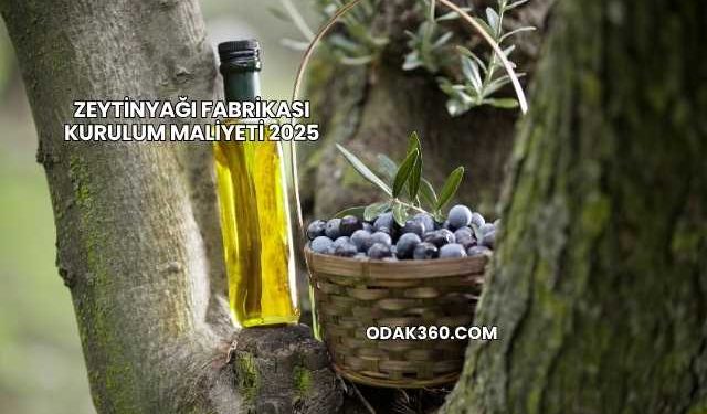 Zeytinyağı Fabrikası Kurulum Maliyeti 2025