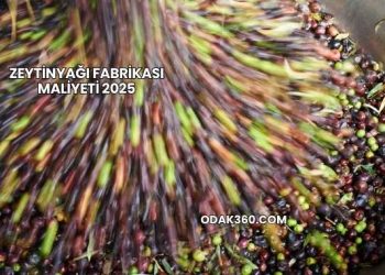 Zeytinyağı Fabrikası Maliyeti 2025