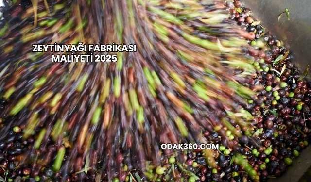Zeytinyağı Fabrikası Maliyeti 2025