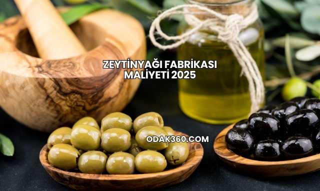 Zeytinyağı Fabrikası Maliyeti 2025