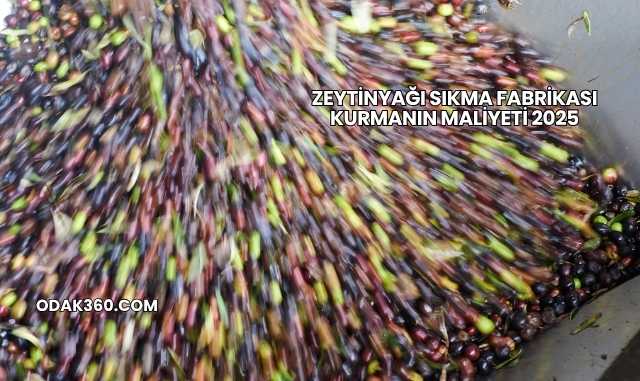 Zeytinyağı Sıkma Fabrikası Kurmanın Maliyeti 2025