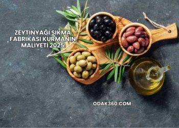 Zeytinyağı Sıkma Fabrikası Kurmanın Maliyeti 2025