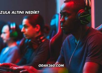 Zula Altını Nedir?