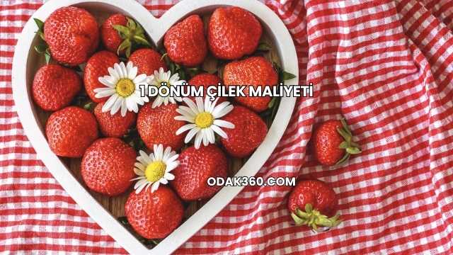 1 Dönüm Çilek Maliyeti