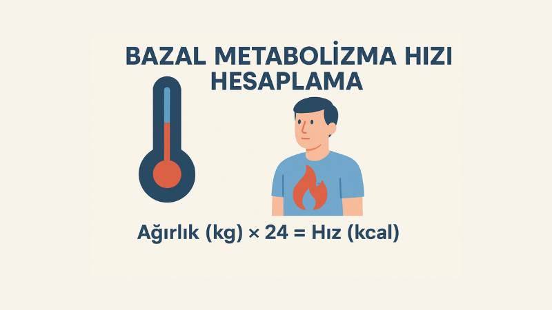 Bazal Metabolizma Hızı Hesaplama