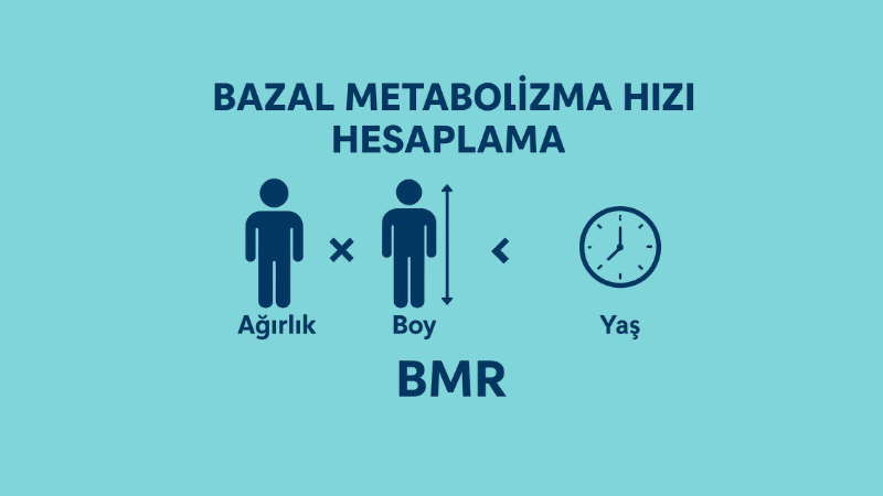Bazal Metabolizma Hızı Hesaplama