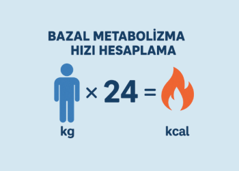 Bazal Metabolizma Hızı Hesaplama