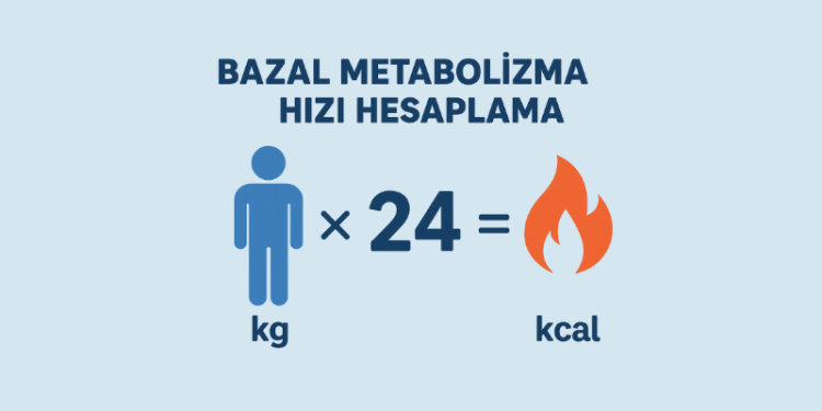 Bazal Metabolizma Hızı Hesaplama