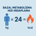 Bazal Metabolizma Hızı Hesaplama