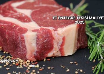 Et Entegre Tesisi Maliyeti 2025