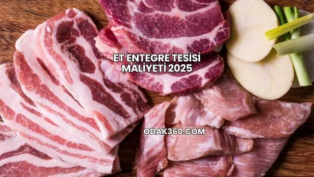 Et Entegre Tesisi Maliyeti 2025