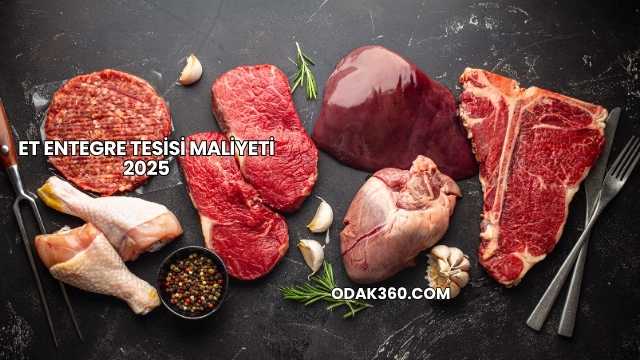 Et Entegre Tesisi Maliyeti 2025