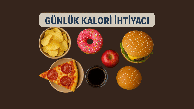 Günlük Kalori İhtiyacı Hesaplama