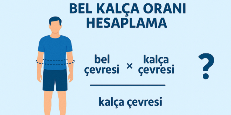 Günlük Kalori İhtiyacı Hesaplama