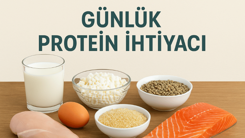 Günlük Protein İhtiyacı Hesaplama