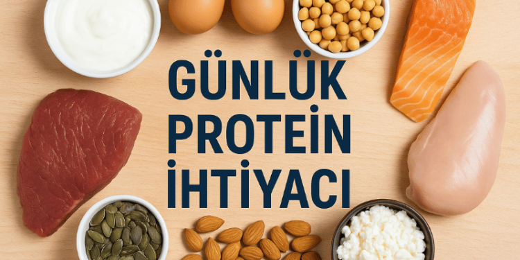 Günlük Protein İhtiyacı Hesaplama