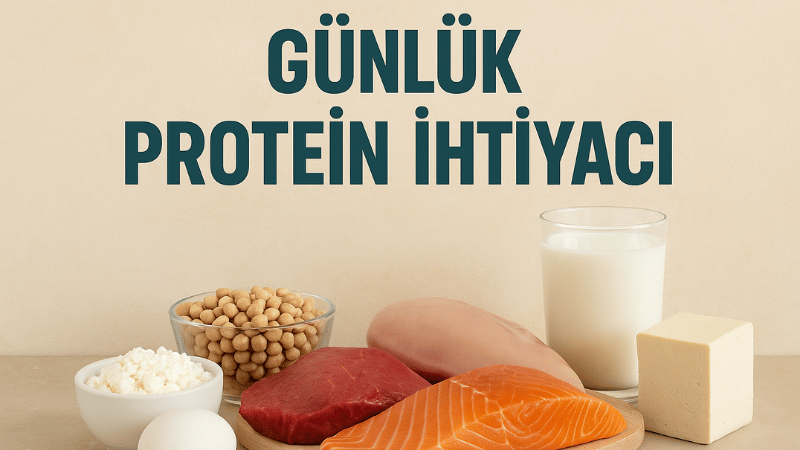 Günlük Protein İhtiyacı Hesaplama