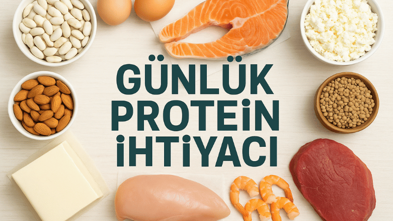 Günlük Protein İhtiyacı Hesaplama