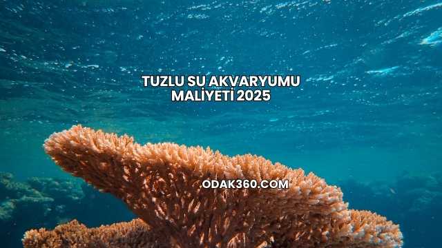Tuzlu Su Akvaryumu Maliyeti 2025