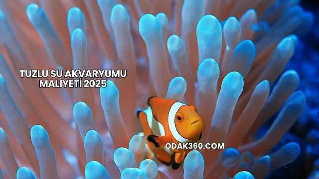 Tuzlu Su Akvaryumu Maliyeti 2025