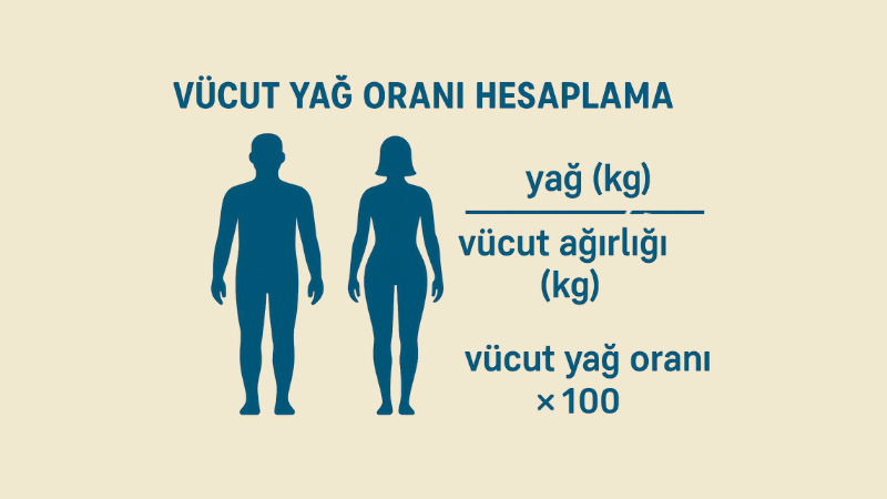 Vücut Yağ Oranı Hesaplama