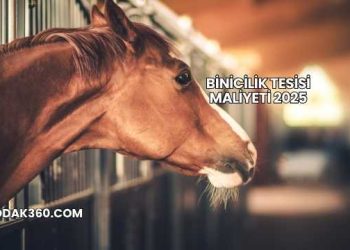 Binicilik Tesisi Maliyeti 2025