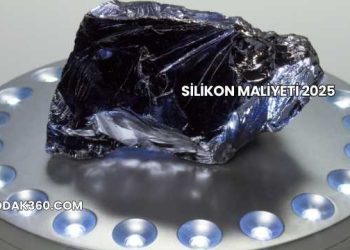 Silikon Maliyeti 2025