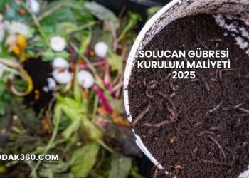 Solucan Gübresi Kurulum Maliyeti 2025