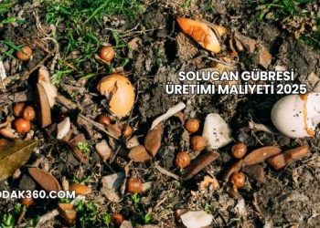 Solucan Gübresi Üretimi Maliyeti 2025