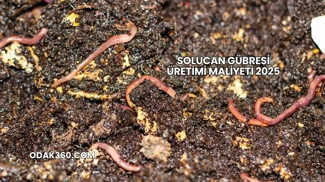 Solucan Gübresi Üretimi Maliyeti 2025