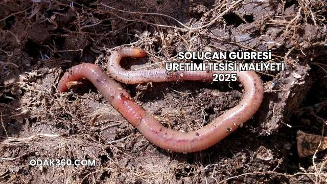 Solucan Gübresi Üretimi Tesisi Maliyeti 2025