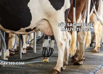 Süt Sağım Tesisi Maliyeti 2025