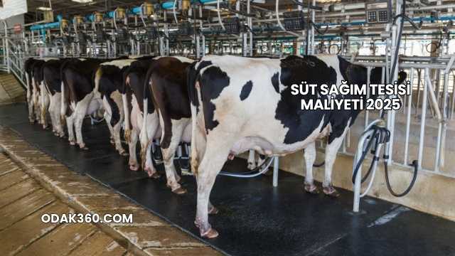 Süt Sağım Tesisi Maliyeti 2025