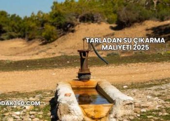 Tarladan Su Çıkarma Maliyeti 2025