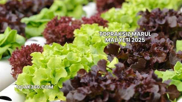 Topraksız Marul Maliyeti 2025