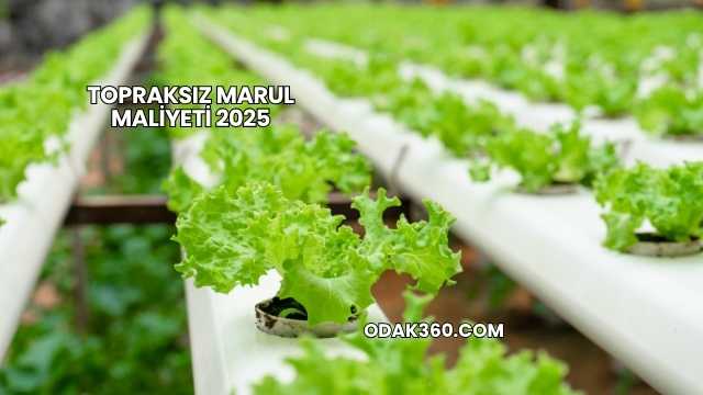 Topraksız Marul Maliyeti 2025