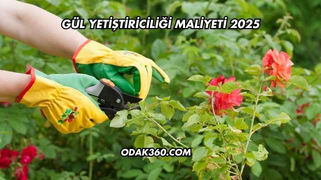 Gül Yetiştiriciliği Maliyeti 2025