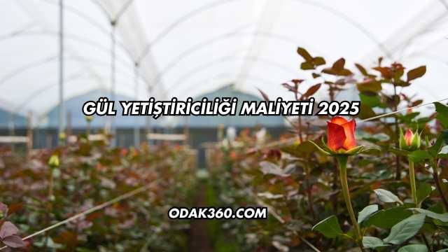 Gül Yetiştiriciliği Maliyeti 2025