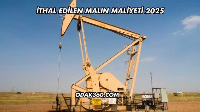 İthal Edilen Malın Maliyeti 2025