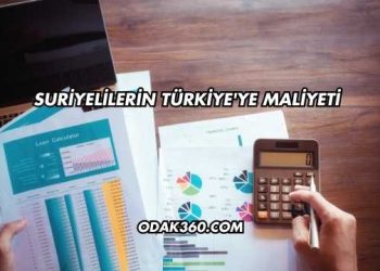 Suriyelilerin Türkiye'ye Maliyeti