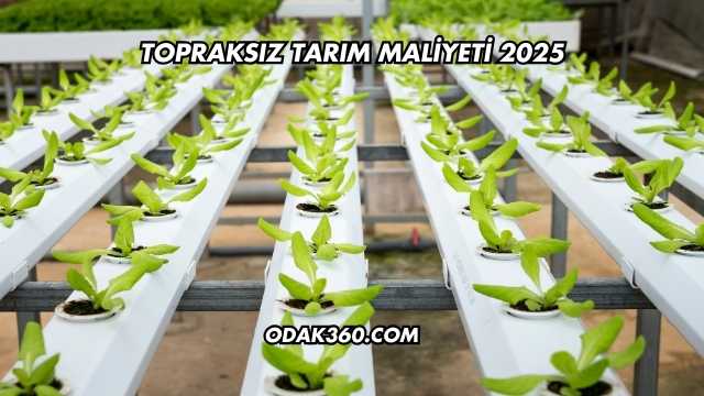 Topraksız Tarım Maliyeti 2025