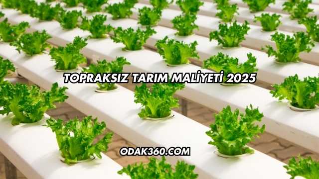 Topraksız Tarım Maliyeti 2025