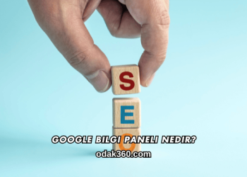 Google Bilgi Paneli Nedir?