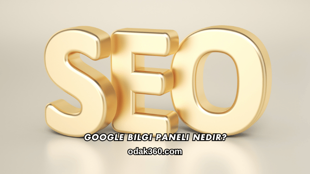 Google Bilgi Paneli Nedir?
